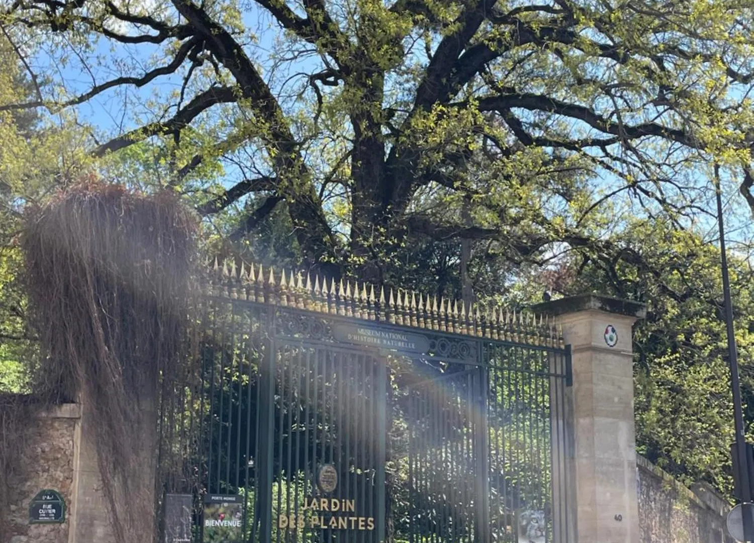 Studio Face Jardin Des Plantes Parijs