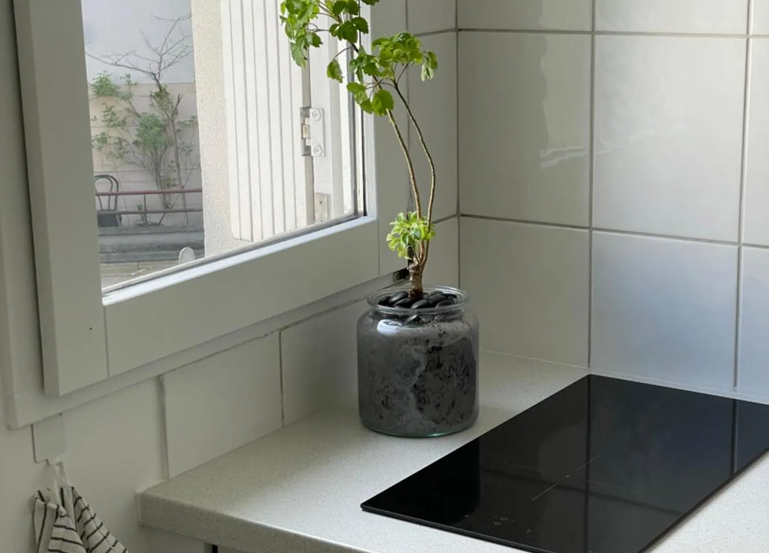 Apartmán Studio Face Jardin Des Plantes Paříž Francie